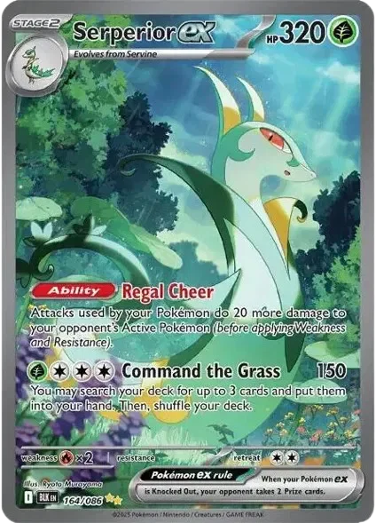 Serperior ex 6/115  Black Bolt Pokemon card