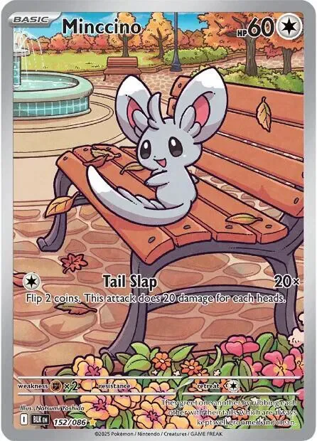 Minccino 10/115 Black Bolt Pokemon card